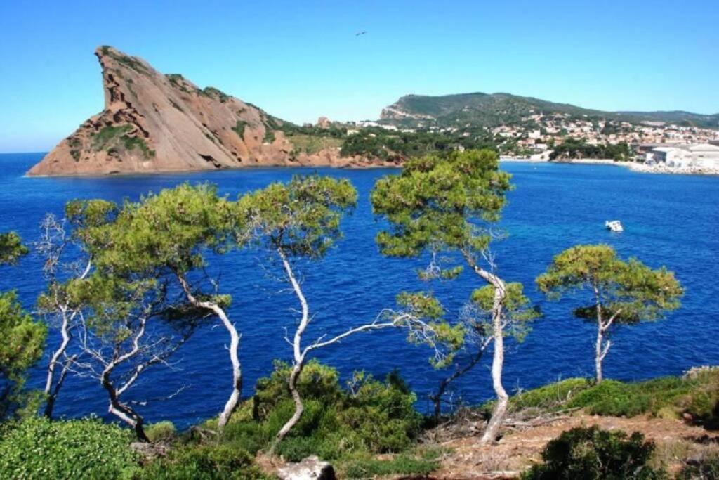L'Oree De La Plage: Appt. Tout Confort 4/6 Pers. 400 M De La Plage La Ciotat Zewnętrze zdjęcie